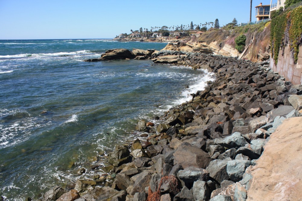 Section 3 Image